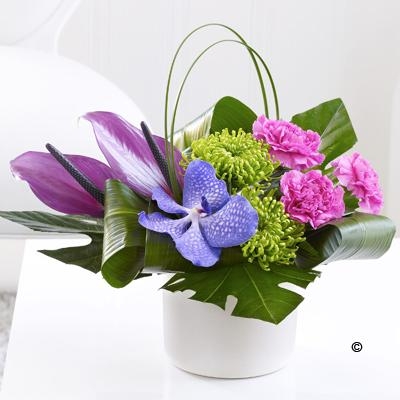 Carnation, Vanda Orchid and Anthurium Arrangement – buy online or call  01744 885363